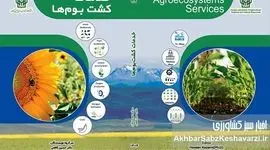 کشاورزی پایدار، فراتر از تامین غذا: نگاهی عمیق به «خدمات کشت بوم‌ها»