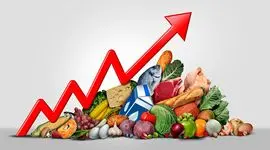 شاخص قیمت مواد غذایی فائو افزایش یافت