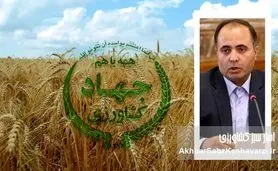کاهش ۴ میلیون تنی تولید گندم: نتیجه یک سال مدیریت قزلجه بستانآبادی