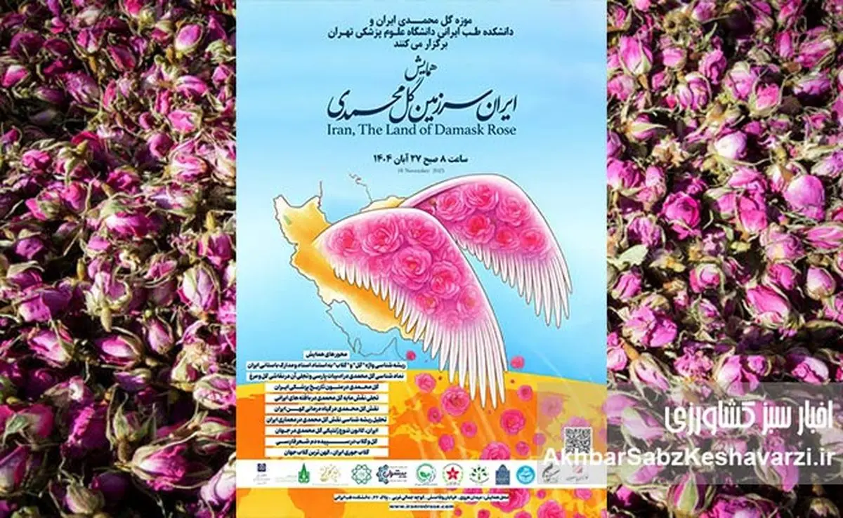 همایش ملی «ایران، سرزمین گل محمدی»؛ شکوه میراث گیاهان دارویی و نماد فرهنگ ایرانی