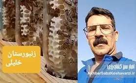 وزارت جهاد کشاورزی باید بیماری‌های زنبور عسل را جدی بگیرد
