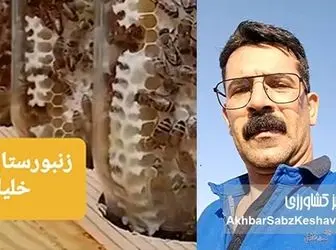 وزارت جهاد کشاورزی باید بیماری‌های زنبور عسل را جدی بگیرد