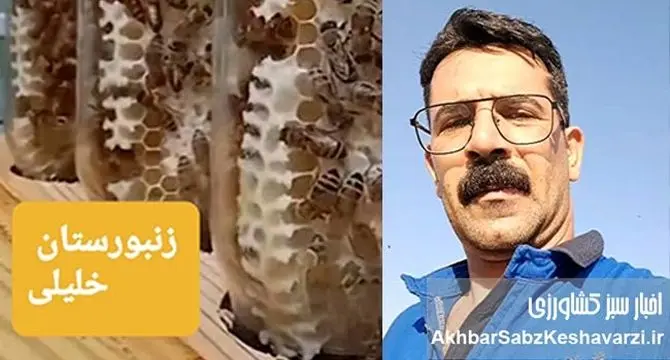 وزارت جهاد کشاورزی باید بیماری‌های زنبور عسل را جدی بگیرد