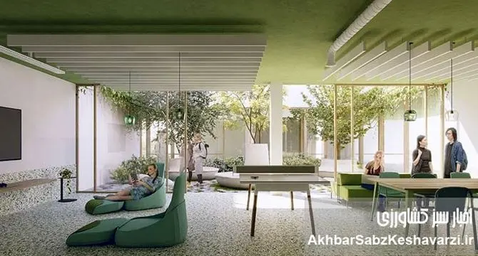 معماری و سلامت روان: طراحی فضاهایی برای آرامش و آسایش
