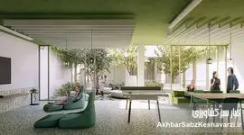 معماری و سلامت روان: طراحی فضاهایی برای آرامش و آسایش