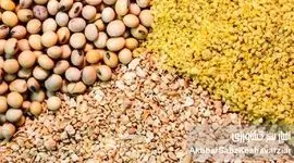 تخصیص ۴۵۰ میلیون دلار از ارز معوق نهاده‌های دامی؛ گامی مهم برای بازگشت ثبات به بازار خوراک دام