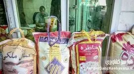قیمت برنج هندی به شدت ارزان شد؛ مقایسه قیمت‌ها