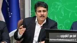 تأخیر ۱۰‌ماهه دولت در پرداخت بدهی واردکنندگان نهاده دامی، بحران مرغ را تشدید می‌کند+ ویدئو