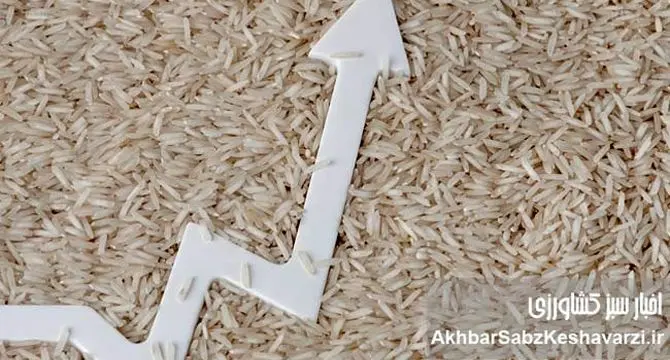 قیمت برنج در ایران رکورد می‌زند: افزایش ۶۰ درصدی و آشفتگی بازاری که کنترل نمی‌شود