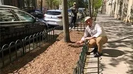  چرا تراشه چوب بهترین انتخاب برای فضای سبز شهرهاست؟+ ویدئو