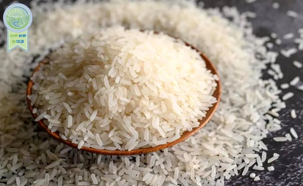برنج هاشمی، طارم و پاکستانی کیلویی چند؟

