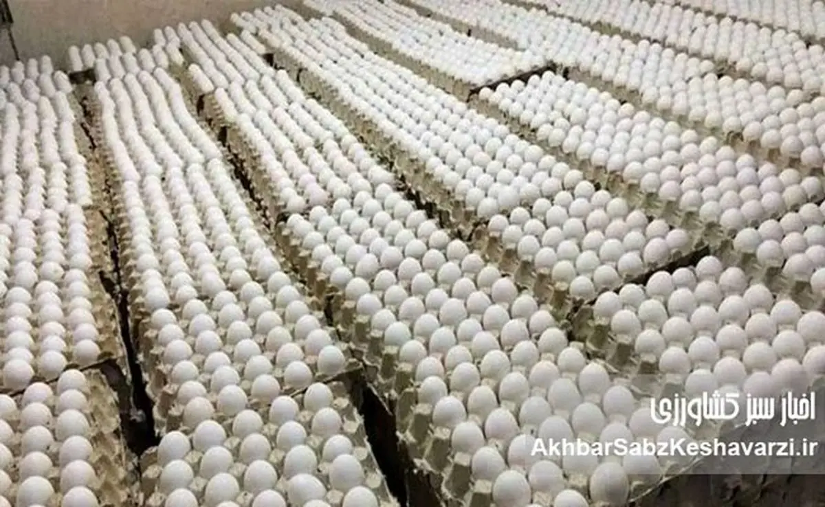 قیمت جدید تخم‌مرغ اعلام شد؛ این رقم‌هایی که تعیین می‌کنید واقعی است؟