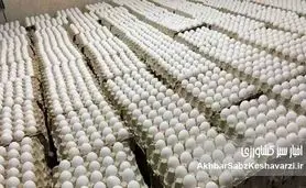 قیمت جدید تخم‌مرغ اعلام شد؛ این رقم‌هایی که تعیین می‌کنید واقعی است؟