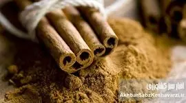 تنظیم قند خون با دارچین؛ ادویه‌ای معجزه‌آسا برای سلامتی شما