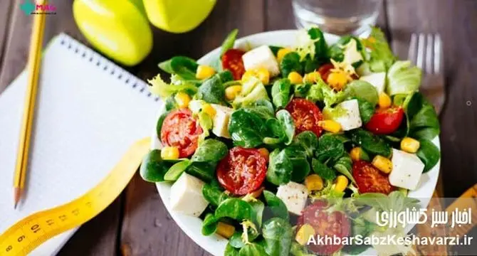 چرا باید فیبر بخوریم؟ راز نهفته انرژی و سلامتی در بشقاب شما!