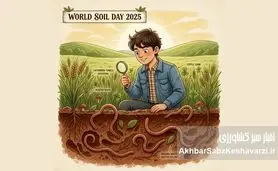 الهام از دل خاک؛ اثر خلاقانه دانش آموز همدانی در روز جهانی خاک 2025+ ویدئو