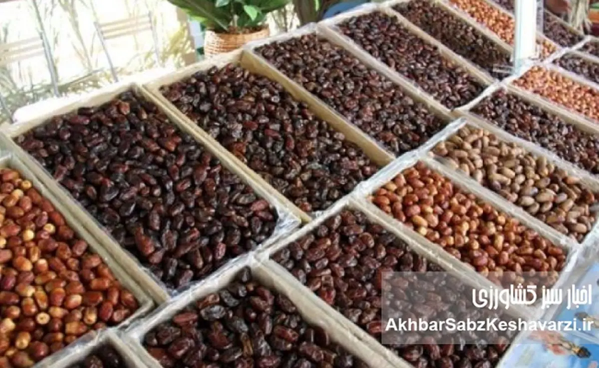 بازاری که با یک امضا سوخت؛ چگونه روسیه از سبد خرمای ایران حذف شد؟