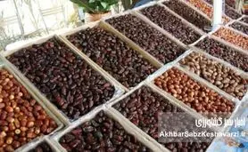 بازاری که با یک امضا سوخت؛ چگونه روسیه از سبد خرمای ایران حذف شد؟