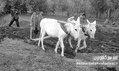 دولت‌های مستعجل ایران و موج اصلاحات ارضی در خاورمیانه/ خاورمیانه در تب و تاب اصلاحات در عرصه زمین‌داری