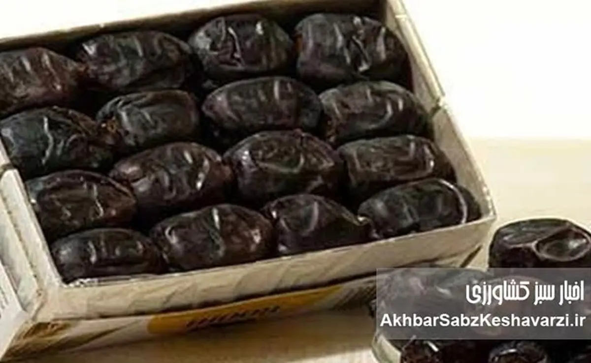 از ۳۵۰ تومان تا ۳۵۰ هزار تومان؛ جهش هزاربرابری قیمت خرما در ایران