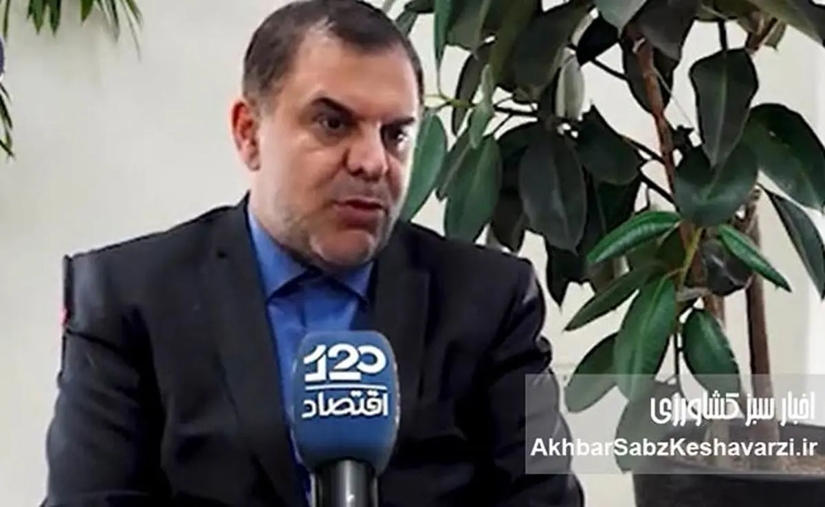 رضا سالمی: بی‌برنامگی در وزارت جهاد دلیل اصلی گرانی گوشت در کشور است+ ویدئو