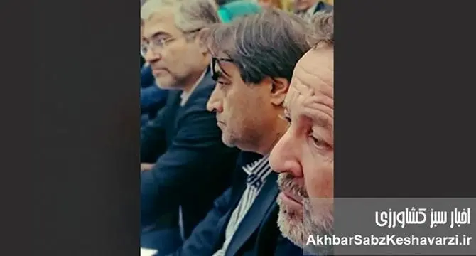 تنها درخواست دامداران از مسئولین: شکم گوسفندها را سیر کنید، با شما هیچ کار دیگری نداریم!+ویدئو