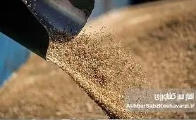 بحران گوشت در ایران؛ پشت پرده فساد و بیتدبیری در واردات نهادههای دامی
