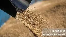 بحران گوشت در ایران؛ پشت پرده فساد و بی‌تدبیری در واردات نهاده‌های دامی