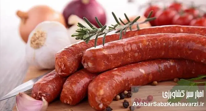 سوسیس و کالباس در رژیم غذایی متعادل؛ مصرف آگاهانه برای حفظ سلامت