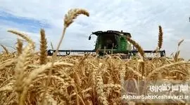 صیانت از بیت‌المال: تکذیب اخبار «فساد گندم» در تعاون روستایی خوزستان