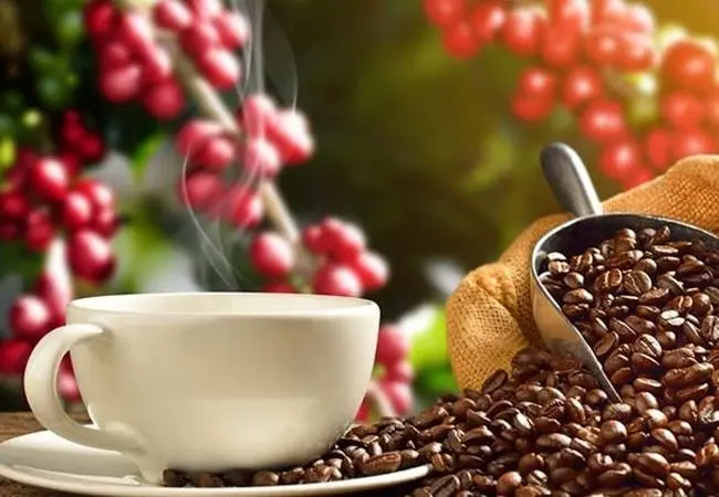 مصرف قهوه برای چه کسانی سم است؟