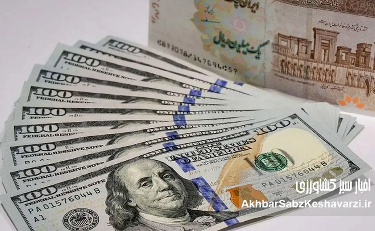 حذف ارز ترجیحی از ابتدای زنجیره؛ تصمیمی پرهزینه با پرسش‌های بی‌پاسخ + ویدئو