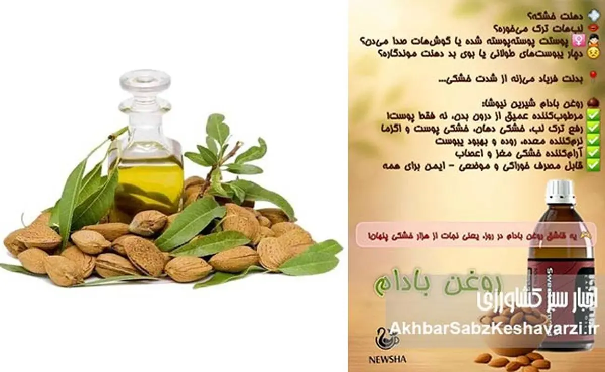 روغن بادام شیرین: اکسیر طلایی طبیعت برای رهایی از خشکیهای آزاردهنده