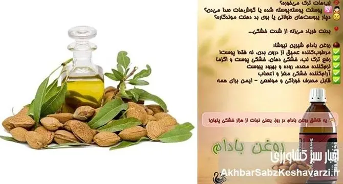 روغن بادام شیرین: اکسیر طلایی طبیعت برای رهایی از خشکی‌های آزاردهنده