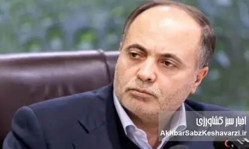 نوری قزلجه؛ نماد ناکارآمدی، رانت و فروپاشی امنیت غذایی