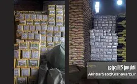 کشف ۲۶۰ تن برنج و ۱۲ تن چای قاچاق + جریمه ۲۲ میلیاردی!