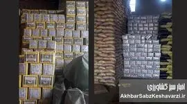 کشف ۲۶۰ تن برنج و ۱۲ تن چای قاچاق + جریمه ۲۲ میلیاردی!