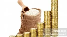 چرا برنج گران می‌شود؟ ریشه‌های گرانی برنج در ایران