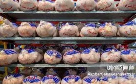مرغ از سفره مردم پر کشید؛ افزایش ۹۸ درصدی قیمت مرغ در یک سال