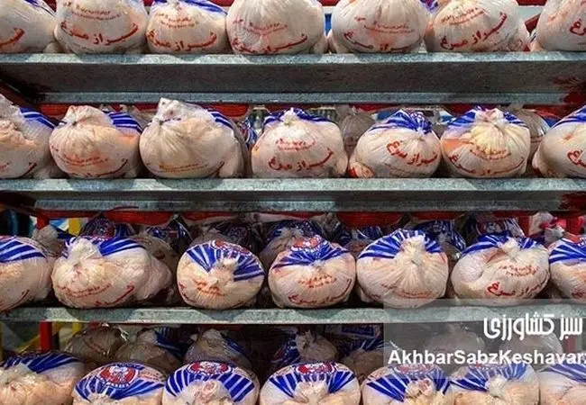 مرغ از سفره مردم پر کشید؛ افزایش ۹۸ درصدی قیمت مرغ در یک سال