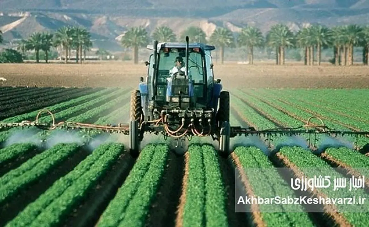 استان فارس پیشرو در ترویج و آموزش کشاورزی با اجرای الگوی کشت ملی