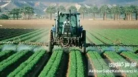 استان فارس پیشرو در ترویج و آموزش کشاورزی با اجرای الگوی کشت ملی