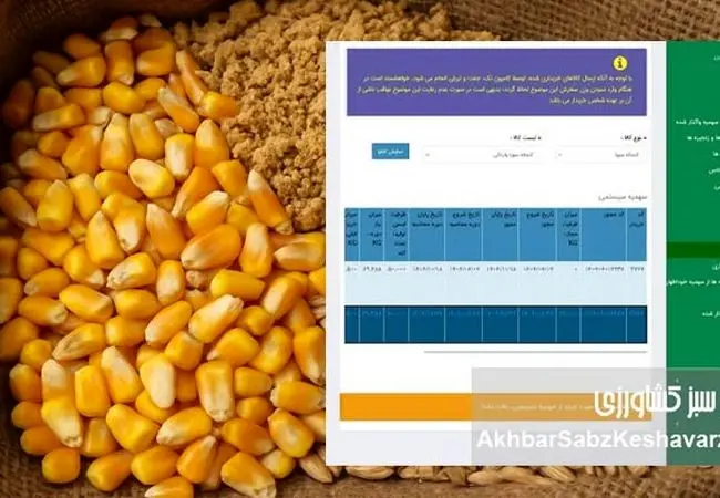 وقتی نهاده در سامانه صفر است، اما در بازار آزاد فراوان!