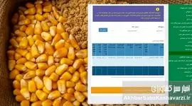 وقتی نهاده در سامانه صفر است، اما در بازار آزاد فراوان!