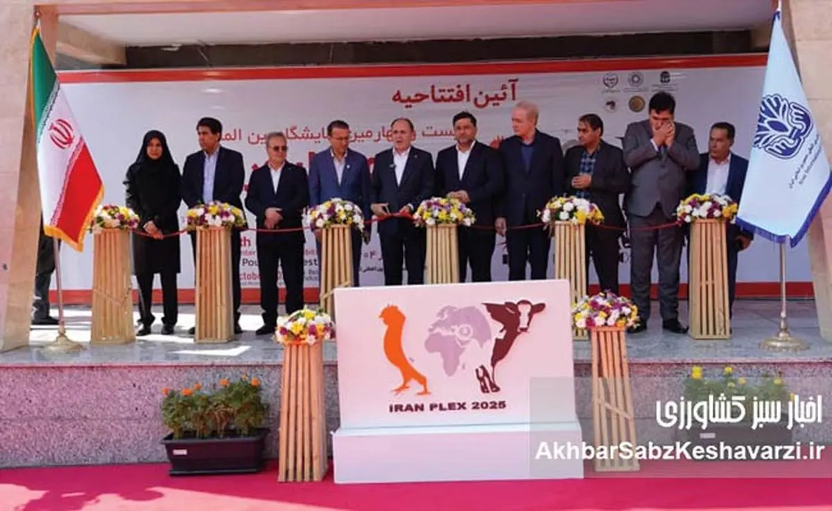 نمایشگاهی که میتواند جامع تر باشد