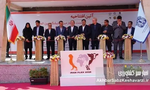 نمایشگاهی که می‌تواند جامع تر باشد