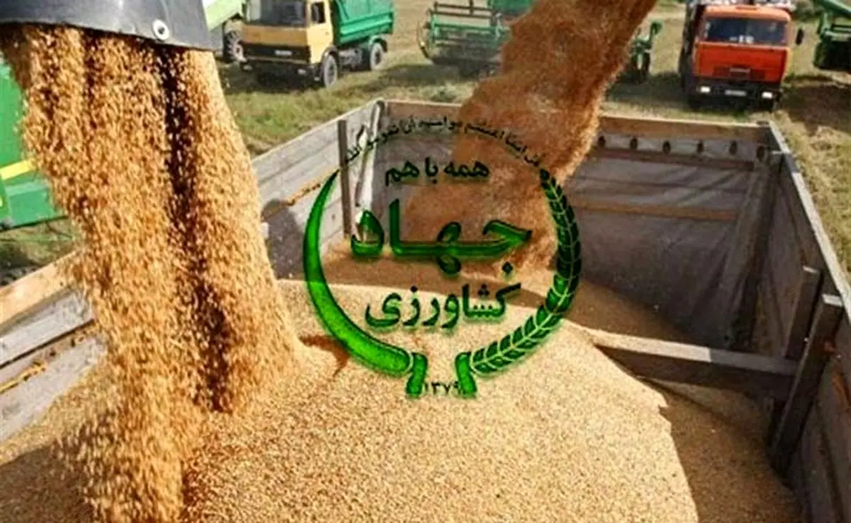 بحران در تأمین نهادههای دامی؛ اعتراض شدید دامداران به وزارت جهاد کشاورزی+ نامه