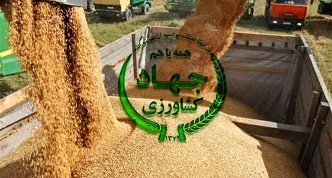 بحران در تأمین نهاده‌های دامی؛ اعتراض شدید دامداران به وزارت جهاد کشاورزی+ نامه