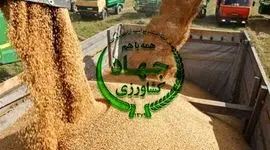 بحران در تأمین نهاده‌های دامی؛ اعتراض شدید دامداران به وزارت جهاد کشاورزی+ نامه