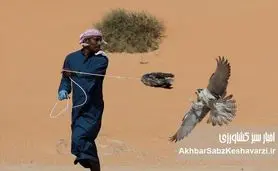 چالش بزرگ برای بقای پرندگان شکاری: از شکار در ایران تا حراج در کشورهای عربی